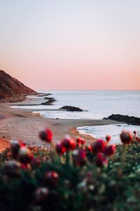 Scenic view of sea against clear sky during sunset