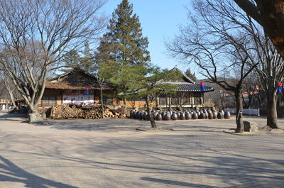 Park by building against sky during winter