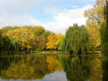 Scenic view of lake by trees against sky