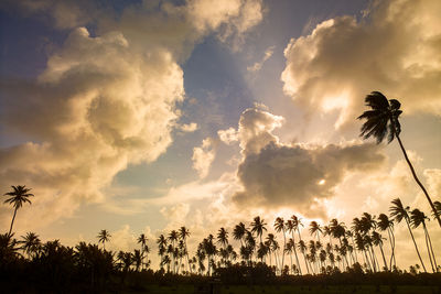 sky