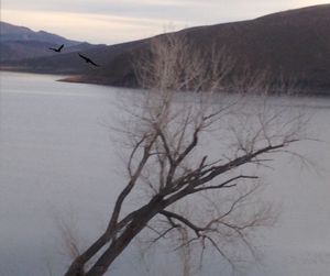 Scenic view of lake with mountains in background