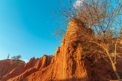 Low angle view of bare tree by cliff against sky at tatacoa desert