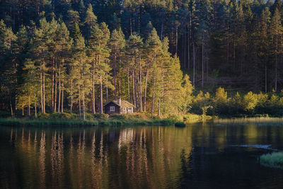 Lone cabin on a lake, norway