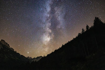 Low angle view of silhouette trees against sky at night