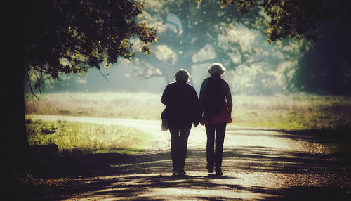 Rear view of seniors walking outdoors