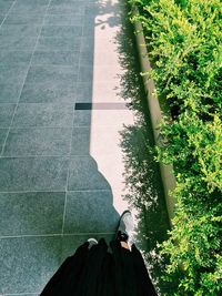 Low section of person standing on tiled floor