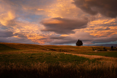 Scenic view of field against sky during sunset