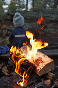 Burning fire on log