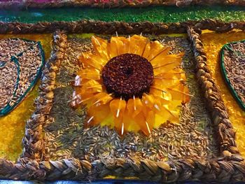 Close-up of yellow flower blooming outdoors