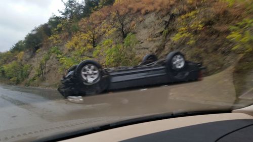 Close-up of car on road against trees