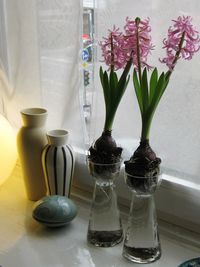 Close-up of glass vase on table