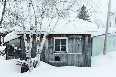 Snow covered trees on snow covered field