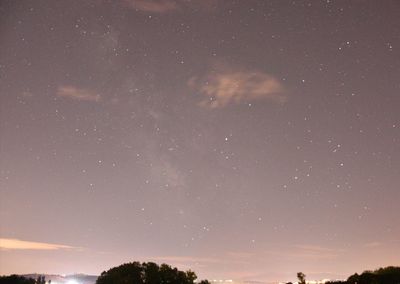 Low angle view of trees against sky at night