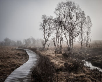 Bare trees on footpath against sky