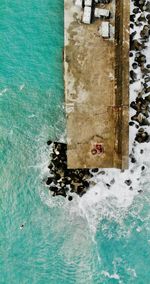 High angle view of horse in swimming pool