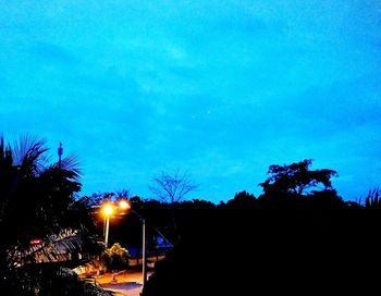 Silhouette trees by illuminated street against blue sky at night