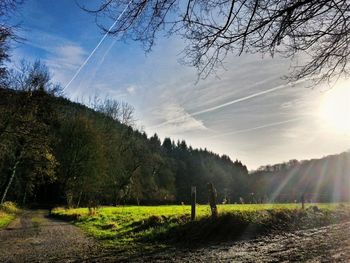 Scenic view of grassy field against sky