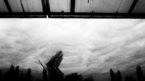 Low angle view of trees against sky