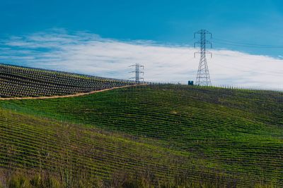 Electricity pylons on agricultural field against sky