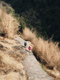 People walking on footpath