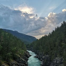 Scenic view of river amidst trees against sky