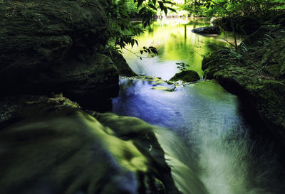 Scenic view of river amidst trees