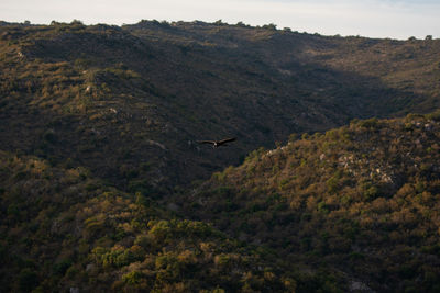 Aerial view of mountain landscape