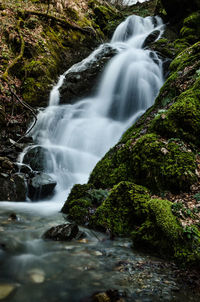 Scenic view of waterfall in forest