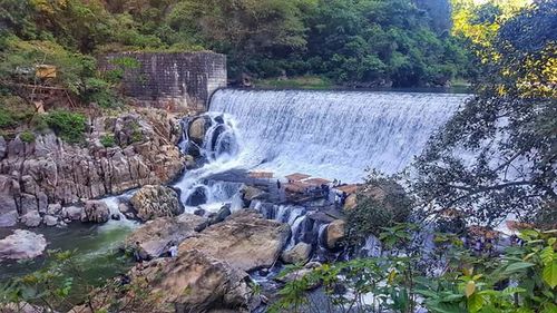 Scenic view of waterfall in park