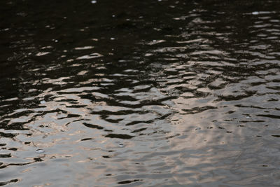 Full frame shot of wet sand