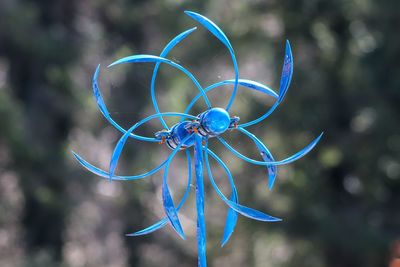 Close-up of blue metallic decoration in park