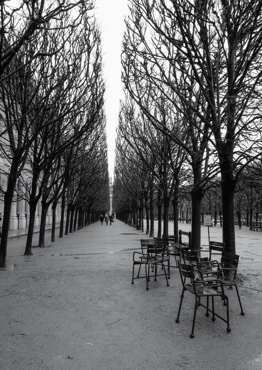 EMPTY BENCH IN PARK