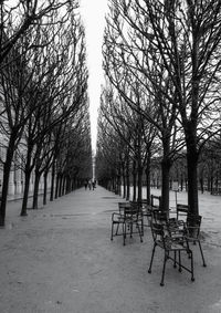 Empty bench in park during winter