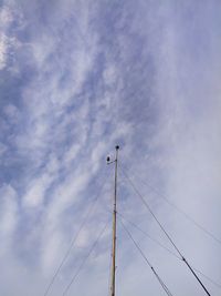 Low angle view of birds on cable against sky