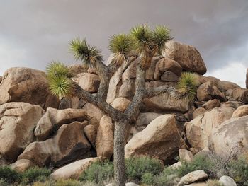 Low angle view of rock formation against sky