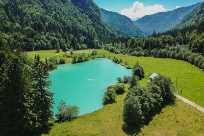 High angle view of trees on landscape