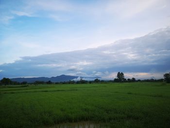 Scenic view of field against sky