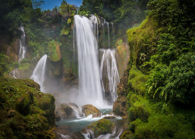 View of waterfall in forest