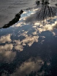 High angle view of trees against sky during winter