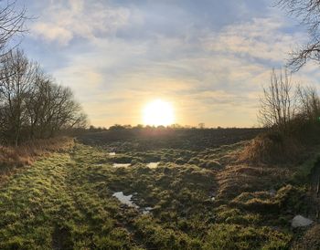 Scenic view of field against sky during sunset