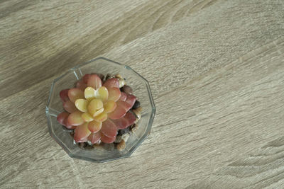 High angle view of multi colored candies on table