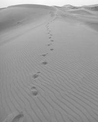 Footprints on sand in desert