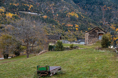 House amidst trees and buildings on field