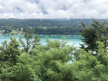 High angle view of trees by lake against sky