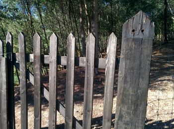 Close-up of fence in forest