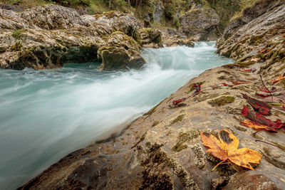 Scenic view of wild river in the mountains, fast floating water, autumn lief on rocks.