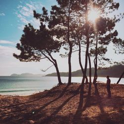 Scenic view of sunset over sea