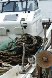 View of boats moored at harbor