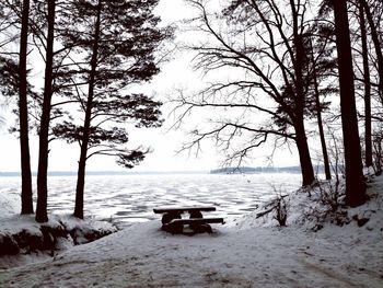 Scenic view of snow covered land and trees against sky