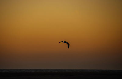 Silhouette bird flying over sea against orange sky